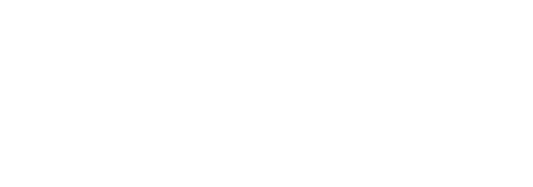 Revive Fund Management